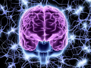 Illustration of a brain surrounded by nerve cells representing how migraine triggers may interact with sensory and neurological processing.