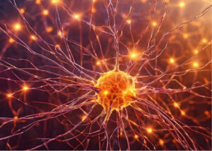 Illustration of a glowing nerve cell and branching neural connections representing sensory processing during migraine.