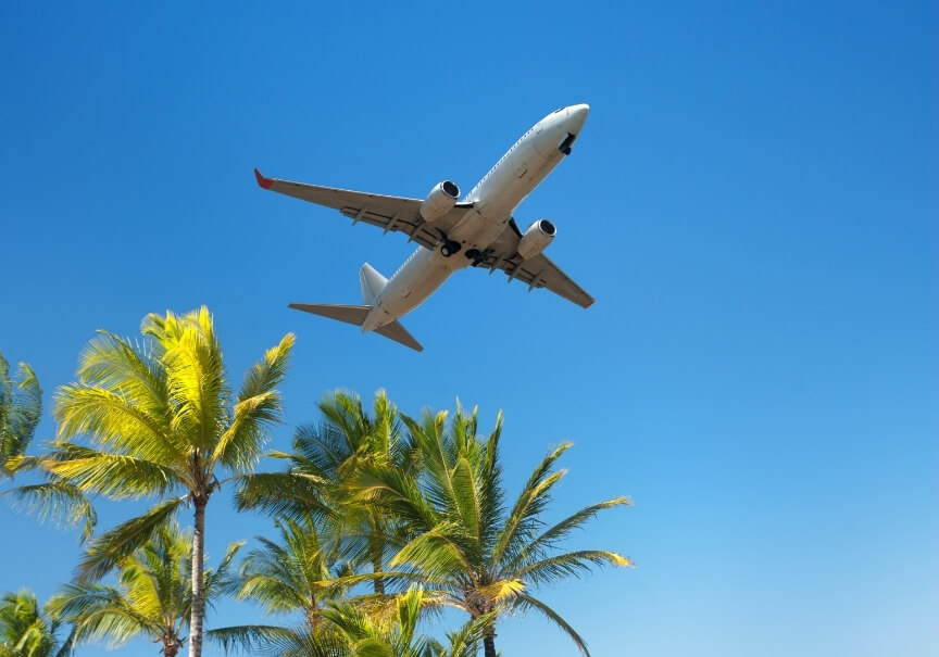 Plane flying over palm trees, a common scenario where a flight headache may be triggered