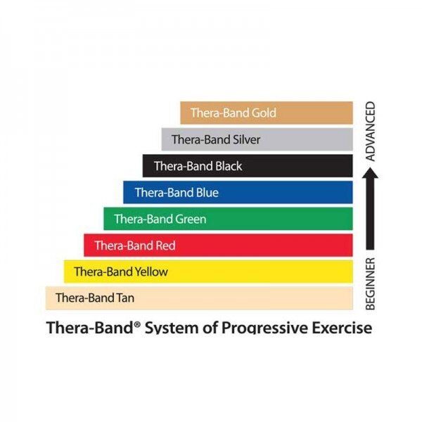 Thera-Band System Progressive Exercise